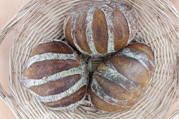 Pane Maggia Pane Maggia